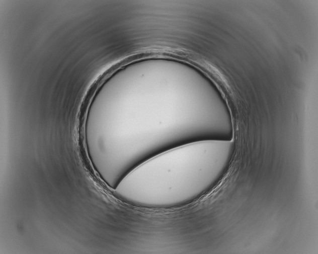 X0000111921020200907271005