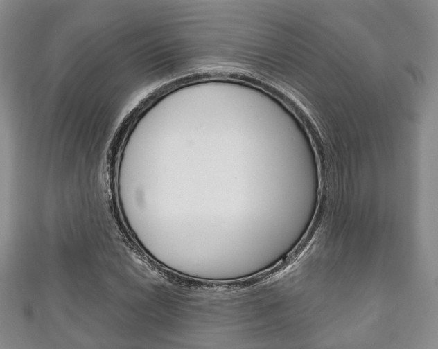 X0000111921022200907271005