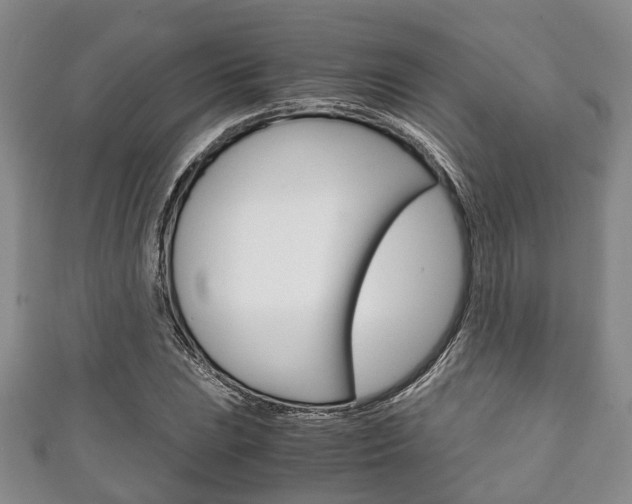 X0000111921023200907271005