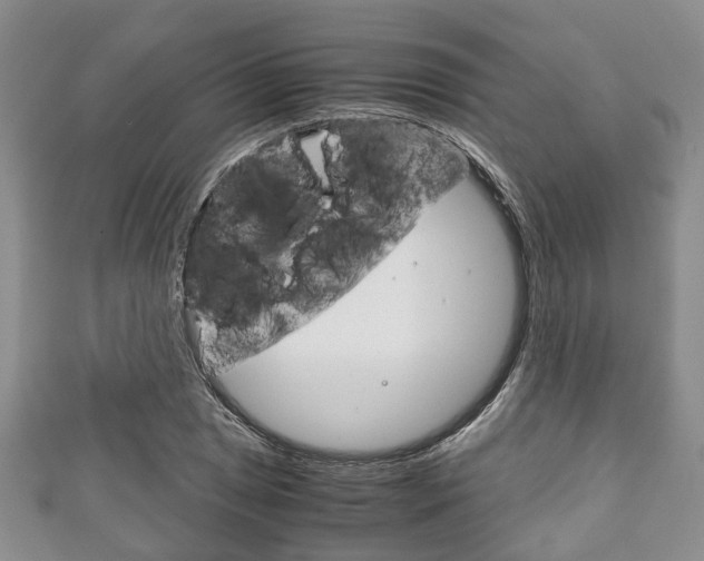 X0000111921025200907271005