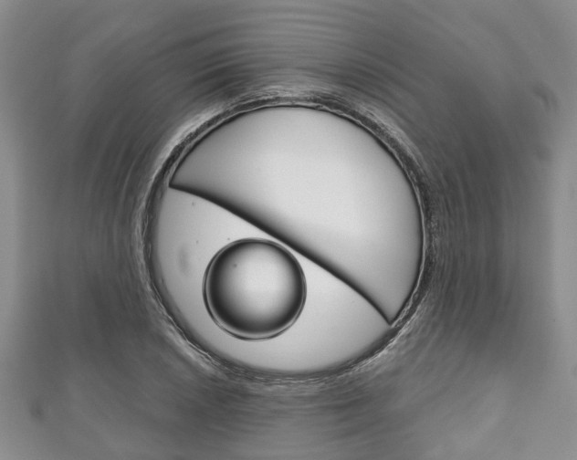 X0000111921026200907271005