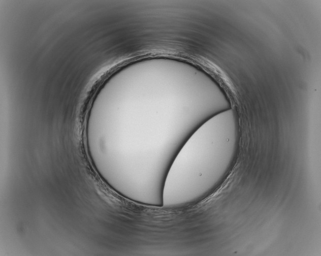X0000111921027200907271005
