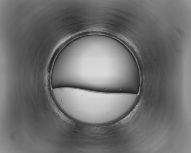 X0000111921029200907271005