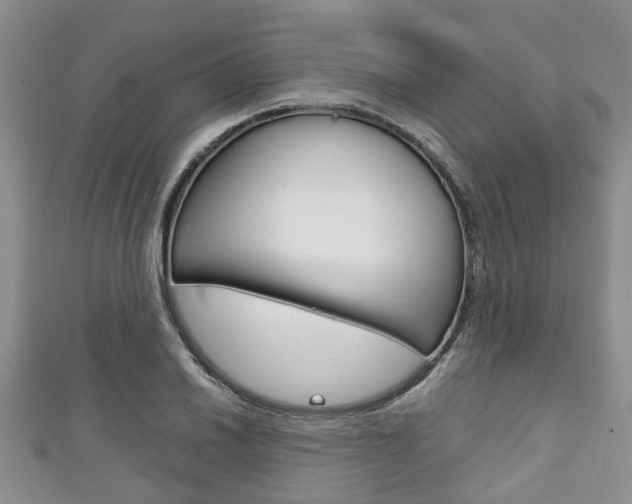X0000111921030200907271005