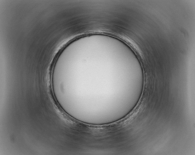 X0000111921031200907271005