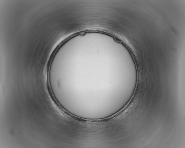 X0000111921032200907271005