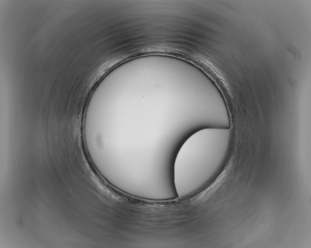 X0000111921033200907271005