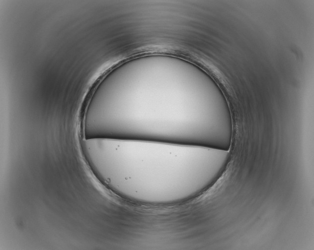 X0000111921034200907271005