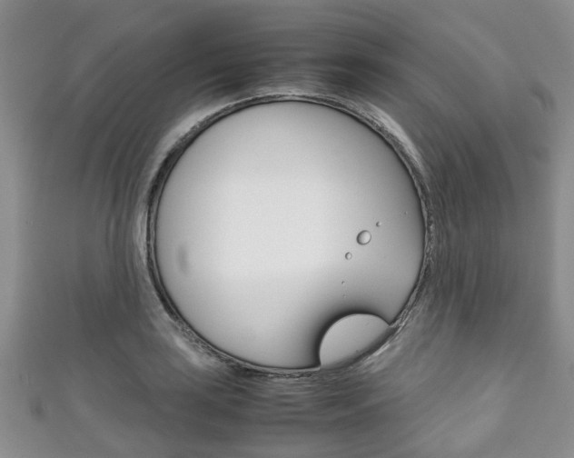 X0000111921035200907271005
