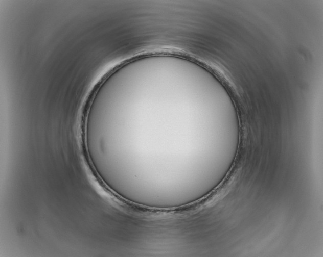 X0000111921038200907271005