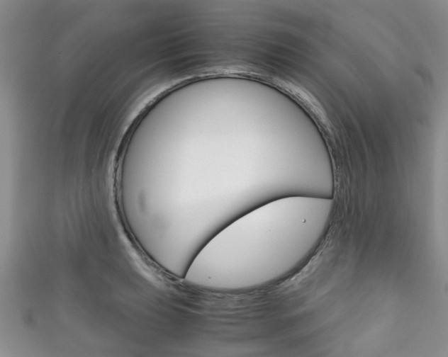 X0000111921039200907271005