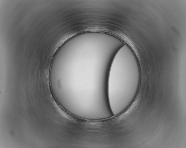 X0000111921041200907271005