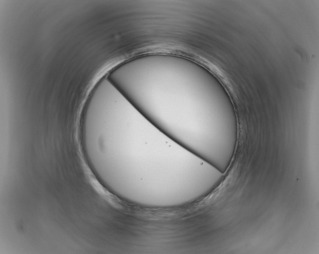 X0000111921042200907271005