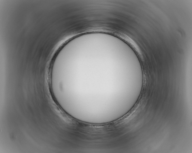 X0000111921043200907271005