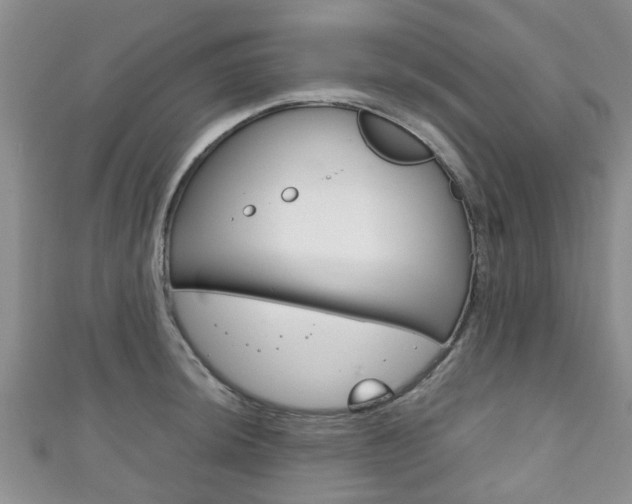 X0000111921044200907271005