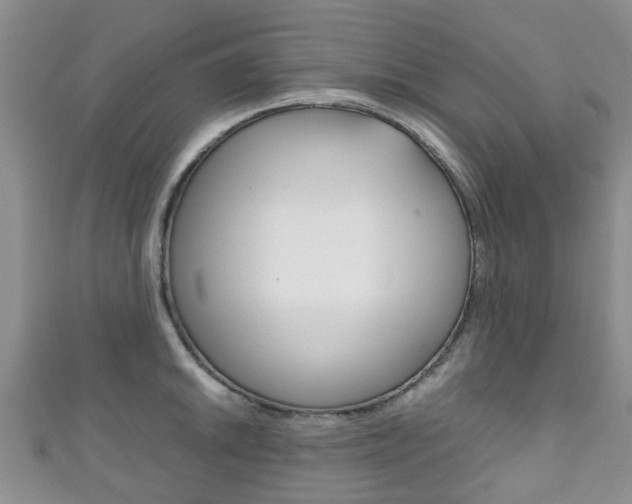 X0000111921046200907271005