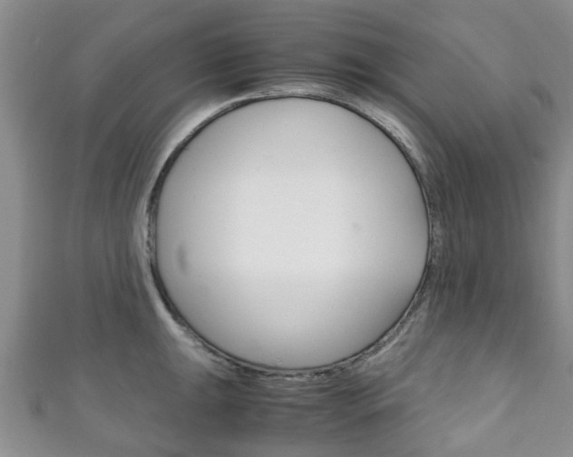 X0000111921047200907271005