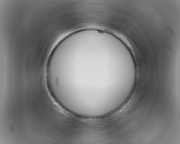 X0000111921048200907271005
