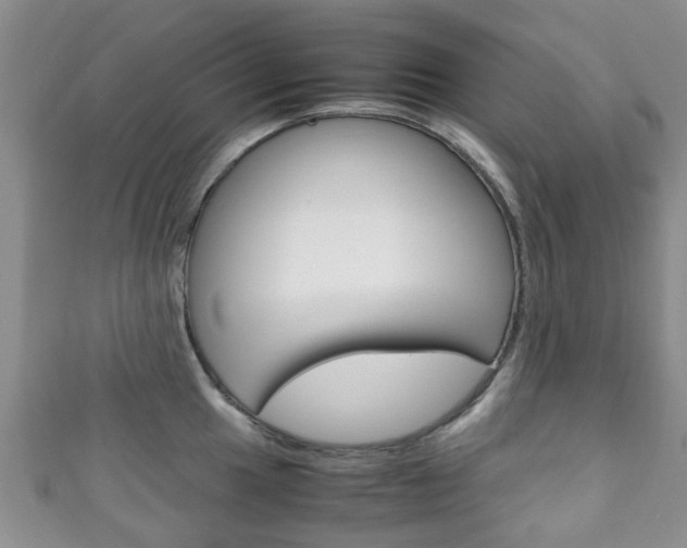 X0000111921049200907271005