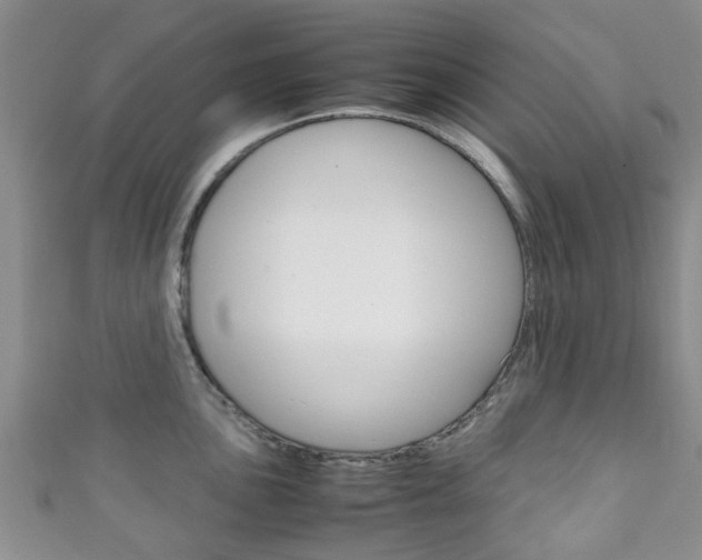 X0000111921051200907271005