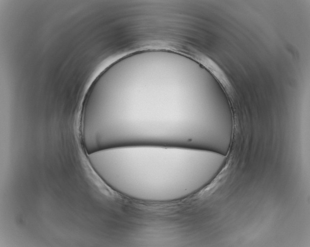 X0000111921052200907271005