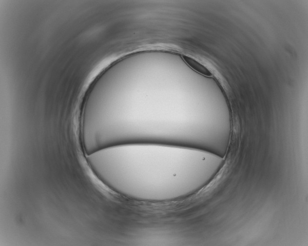 X0000111921054200907271005