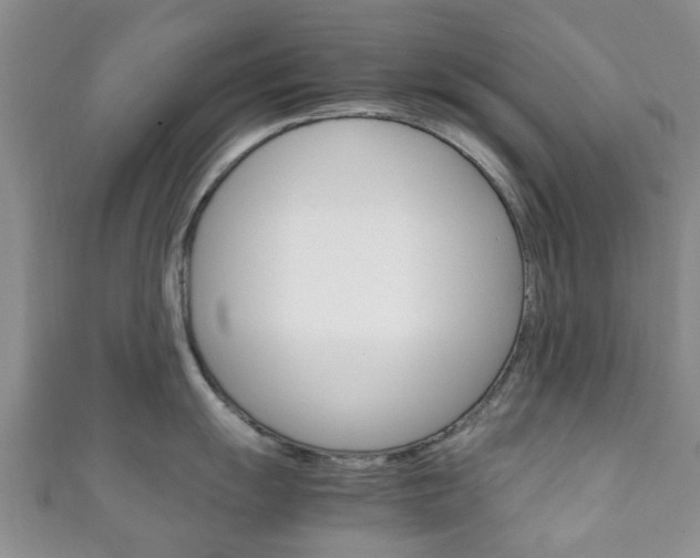 X0000111921055200907271005