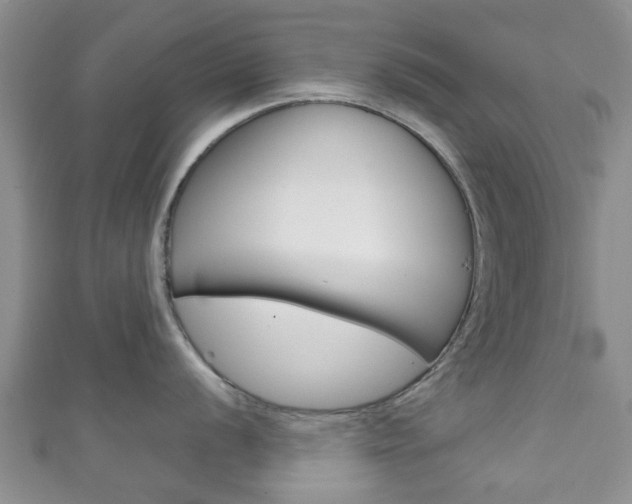 X0000111921056200907271005