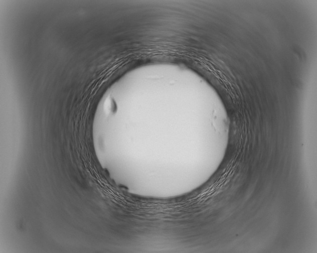X0000111921057200907271005