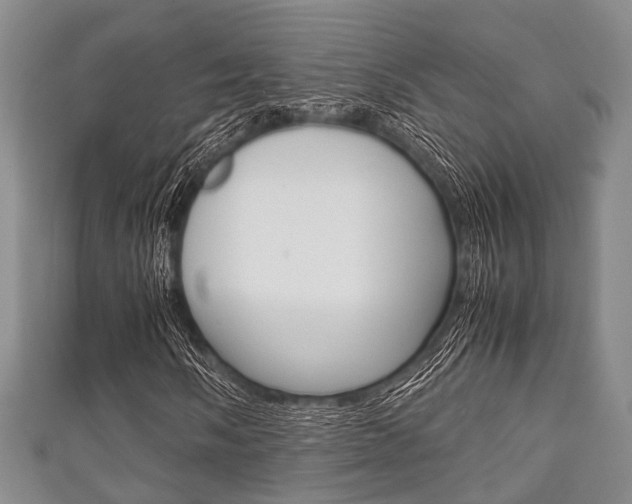 X0000111921058200907271005