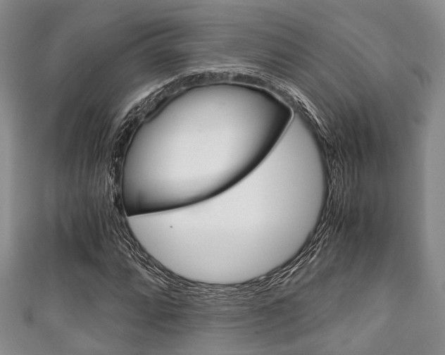 X0000111921064200907271005