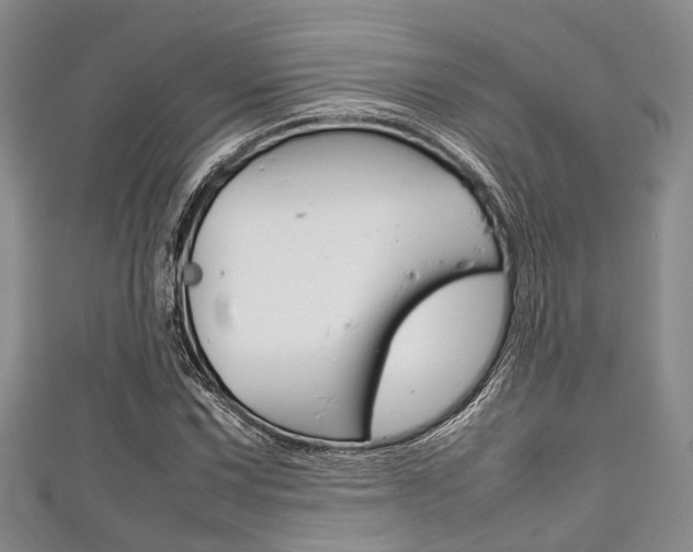 X0000111921067200907271004