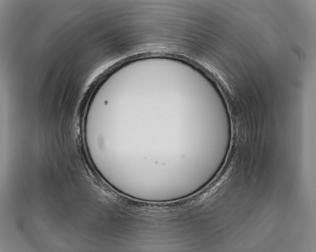 X0000111921070200907271004