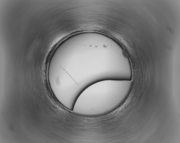 X0000111921071200907271004
