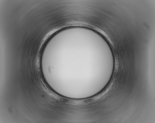 X0000111921074200907271004
