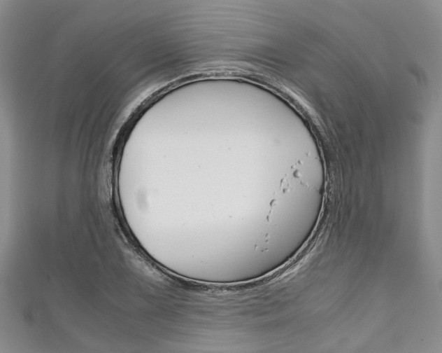 X0000111921075200907271004