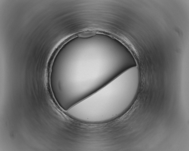 X0000111921076200907271004