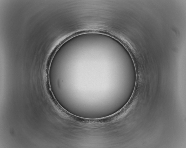X0000111921077200907271004