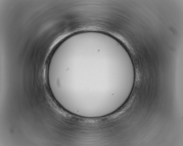 X0000111921078200907271004
