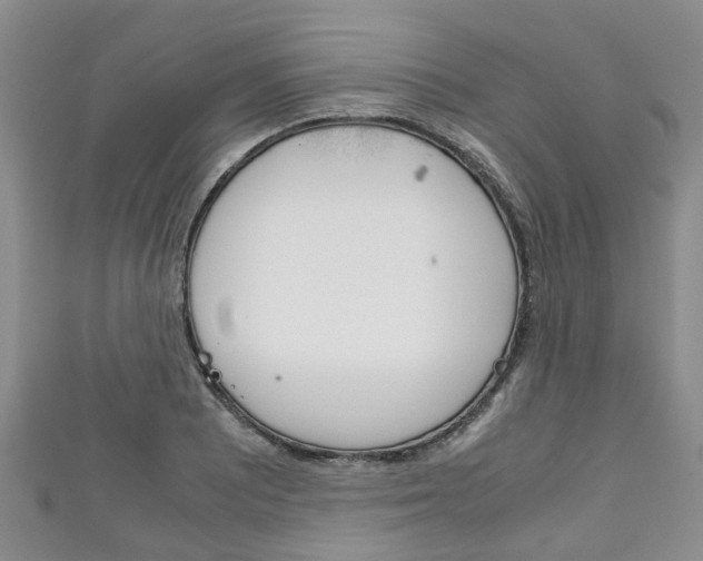 X0000111921081200907271004