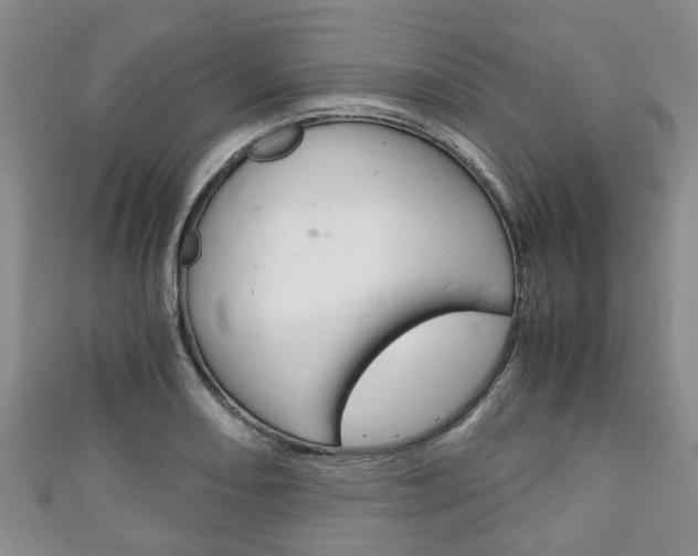 X0000111921082200907271004