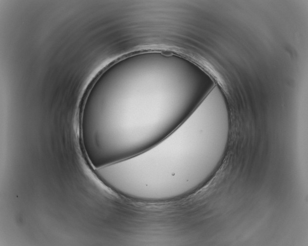 X0000111921084200907271004