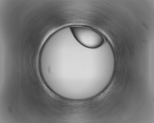 X0000111921085200907271004