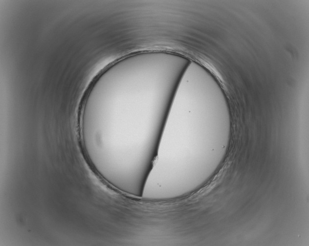 X0000111921087200907271004