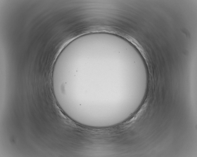 X0000111921089200907271004