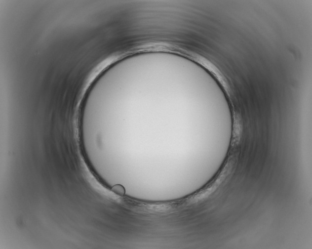 X0000111921090200907271004