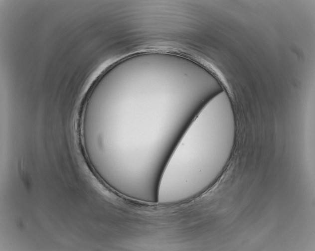 X0000111921091200907271004
