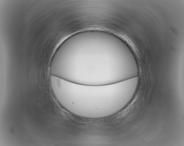 X0000111921097200907271004