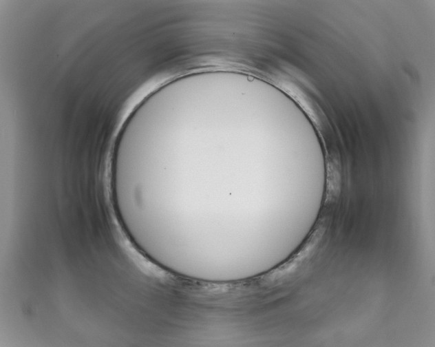 X0000111921098200907271004