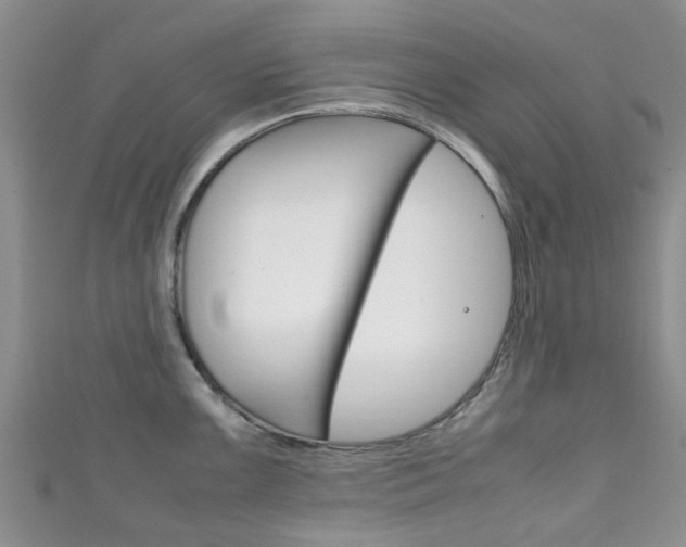 X0000111921099200907271004
